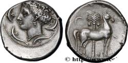 Ancient Coins - SICILY - SICULO-PUNIC - KEPHALOEDION Céphaloédium (Kephaloidion) c. 330 AC. (26,5mm, 17,02g, 1h)