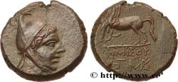 Ancient Coins - PONTUS - AMISOS Amisos, Pont c. 105-90 ou 90-85 AC. (22mm, 12,62g, 12h)