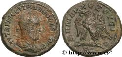 Ancient Coins - TRAJAN DECIUS Antioche, Syrie, Séleucie et Piérie 250 (25,5mm, 11,72g, 1h)