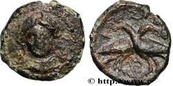 Ancient Coins - LUCANIA - LAUS Lucanie, Laus c. 350-300 AC. (13,5mm, 2,03g, 12h)