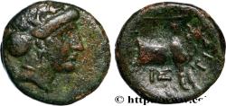 Ancient Coins - EUBOEA - HISTIAIA Histiée,Eubée 338-304 AC. (13mm, 1,59g, 12h)