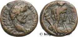 Ancient Coins - ANTONINUS PIUS Alexandrie, Égypte 140-141 (23,5mm, 12,32g, 12h)