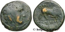 Ancient Coins - SYRIA - SELEUKID KINGDOM - SELEUKOS I NIKATOR Séleucie du Tigre, Babylonie c. 305-304 AC. (16,5mm, 3,53g, 9h)