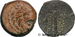 Ancient Coins - SYRIA - SELEUKID KINGDOM - ANTIOCHUS VII SIDETES Antioche, Syrie 136-135 AC. (15mm, 2,96g, 9h)