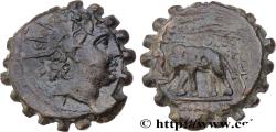 Ancient Coins - SYRIA - SELEUKID KINGDOM - ANTIOCHUS VI DIONYSUS Antioche, Syrie c. 145-142 AC. (21mm, 7,61g, 1h)