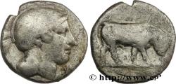 Ancient Coins - LUCANIA - THOURIOI Thurium, Lucanie c. 443-400 AC. (20mm, 7,17g, 2h)