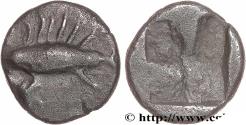 Ancient Coins - MYSIA – KYZIKOS / CYZICUS Cyzique c. 580-550 AC (8,5mm, 0,61g, h)