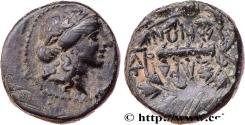 Ancient Coins - LYDIA - SARDIS Sardes, Lydie c. 133 AC. (15,5mm, 3,57g, 5h)