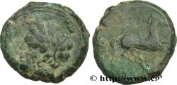 Ancient Coins - ZEUGITANA - CARTHAGE Carthage ou atelier syracusain c. 400-350 AC. (16,5mm, 4,93g, 9h)