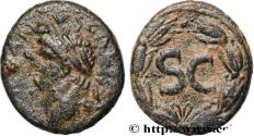 Ancient Coins - DOMITIANUS Antioche c. 69-81 (23mm, 7,22g, 12h)