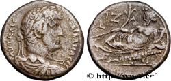 Ancient Coins - HADRIAN Alexandrie, Égypte 132-133 (24,5mm, 12,46g, 12h)
