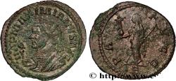 Ancient Coins - MAXIMIANUS HERCULIUS Lyon 290-291 (23mm, 3,64g, 7h)
