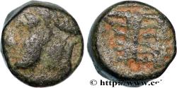Ancient Coins - SYRIA - ROMAN PROVINCE Syrie, Caesarea Paneas c. 161-180 (9mm, 1,61g, 3h)