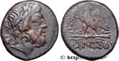 Ancient Coins - PONTUS - AMISOS Pont, Amisos c. 85-65 AC. (20,5mm, 7,98g, 12h)