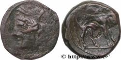 Ancient Coins - CAMPANIA - NEAPOLIS Naples, Campanie c. 275-250 AC. (20mm, 6,20g, 9h)