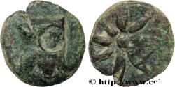 Ancient Coins - PONTUS - AMISOS  c. 105-85 AC. (16,5mm, 4,45g, 12h)