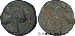 Ancient Coins - ZEUGITANA - CARTHAGE Carthage ou Sardaigne c. 300-264 AC. (19mm, 4,43g, 12h)
