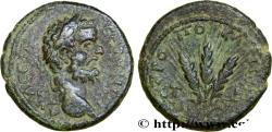 Ancient Coins - SEPTIMIUS SEVERUS Césarée, Cappadoce 194 (23,5mm, 9,41g, 12h)