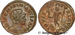 Ancient Coins - MAXIMIANUS HERCULIUS Lyon 287-289 (21,50mm, 2,91g, 6h)