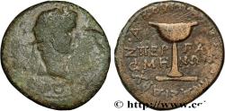 Ancient Coins - AUGUSTUS and CAIUS Pergame, Mysie c. 1 AC. (19,5mm, 5,34g, 12h)