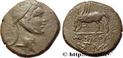 Ancient Coins - PONTUS - AMISOS Amisos, Pont c. 105-90 ou 90-85 AC. (22mm, 12,07g, 1h)
