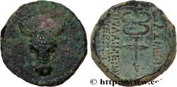 Ancient Coins - KINGS OF PAPHLAGONIA - PYLAIMENES III  Paphlagonie c. 103 AC (17,5mm, 4,70g, 12h)