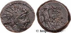 Ancient Coins - SYRIA - SELEUKID KINGDOM - ANTIOCHUS VIII GRYPUS Antioche, Syrie c. 121/120 - 111/110 AC. (17,5mm, 5,16g, 12h)