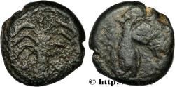 Ancient Coins - ZEUGITANA - CARTHAGE Carthage, Zeugitane c. 350-320 AC. (16mm, 6,29g, 1h)