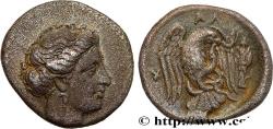 Ancient Coins - EUBOEA - CHALCIS Chalcis, Eubée c. 290 - 273/271 AC. (17,5mm, 3,43g, 9h)