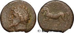 Ancient Coins - NUMIDIA - KINGDOM OF NUMIDIA - MASINISSA or MICIPSA Cirta, Numidie c. 150 AC. (22mm, 8,72g, 12h)