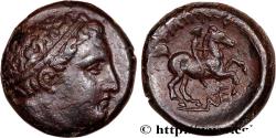Ancient Coins - MACEDONIA - MACEDONIAN KINGDOM - PHILIP II Atelier incertain c. 356-336 AC. (17mm, 6,84g, 1h)