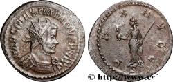 Ancient Coins - MAXIMIANUS HERCULIUS Lyon 289-290 (23mm, 3,00g, 6h)