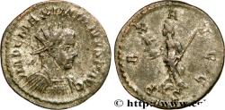 Ancient Coins - MAXIMIANUS HERCULIUS Lyon 289-290 (23,5mm, 3,50g, 6h)