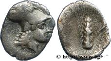 Ancient Coins - LUCANIA - METAPONTUM Métaponte, Lucanie c. 330 AC. (12mm, 0,98g, 6h)