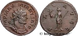Ancient Coins - MAXIMIANUS HERCULIUS Lyon 289-290 (21,5mm, 3,16g, 12h)