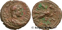 Ancient Coins - CLAUDIUS II GOTHICUS Alexandrie, Égypte 270-271 (21,5mm, 8,34g, 12h)