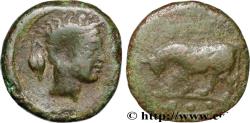 Ancient Coins - SICILY - GELA Géla, Sicile c. 420-405 AC. (17mm, 3,69g, 3h)