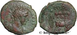 Ancient Coins - HADRIAN Ptolémaïs-Ace, Syrie c. 117-138 (23,5mm, 11,17g, 12h)