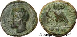 Ancient Coins - SICILY - KAMARINA Camarina, Sicile c. 420-405 AC. (14,5mm, 3,20g, 3h)