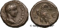 Ancient Coins - SEVERUS ALEXANDER  Alexandrie, Égypte 225-226 (21mm, 11,75g, 12h)