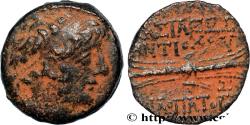 Ancient Coins - SYRIA - SELEUKID KINGDOM - ANTIOCHUS IX CYZICENUS Antioche, Syrie c. 114-112 AC. (18mm, 5,26g, 3h)