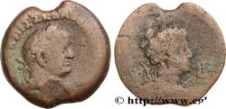Ancient Coins - VESPASIAN Alexandrie, Égypte 70-71 (35mm, 20,35g, 12h)