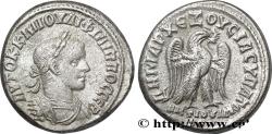 Ancient Coins - PHILIPPUS II Antioche, Syrie, Séleucie et Piérie 249 (28,00mm, 11,91g, 12h)
