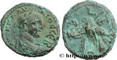 Ancient Coins - CLAUDIUS II GOTHICUS Alexandrie, Égypte 270-271 (20,5mm, 11,41g, 12h)