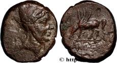 Ancient Coins - PONTUS - AMISOS Amisos, Pont c. 105-90 ou 90-85 AC. (22,5mm, 11,24g, 12h)