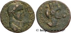 Ancient Coins - SEVERUS ALEXANDER  Nisibe, Mésopotamie c. 222-235 (27mm, 12,44g, 11h)