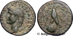 Ancient Coins - TITUS Rome 80-81 (26mm, 10,51g, 6h)