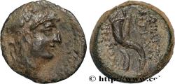 Ancient Coins - SYRIA - SELEUKID KINGDOM - ANTIOCHUS VIII GRYPUS Antioche, Syrie c. 121/120 - 111/110 AC. (21mm, 9,01g, 12h)
