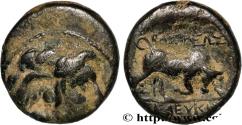 Ancient Coins - SYRIA - SELEUKID KINGDOM - SELEUKOS I NIKATOR Séleucie du Tigre, Babylonie c. 305-304 AC. (14mm, 2,39g, 12h)