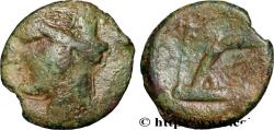 Ancient Coins - ZEUGITANA - CARTHAGE Sardaigne c. 241-238 AC. (21mm, 4,98g, 5h)